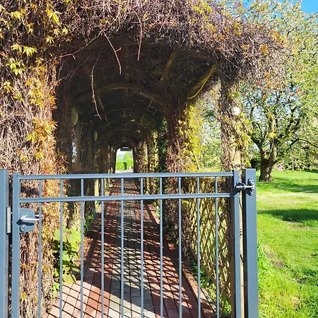 08 Heuwiese - Hof Wiesengrund