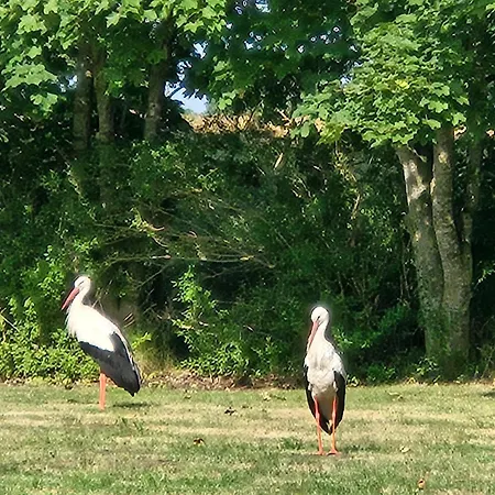 דירה 08 Heuwiese - Hof Wiesengrund
