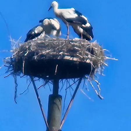 דירה 08 Heuwiese - Hof Wiesengrund *