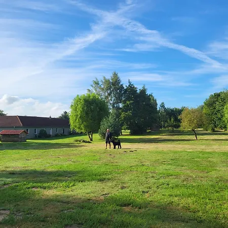 08 Heuwiese - Hof Wiesengrund