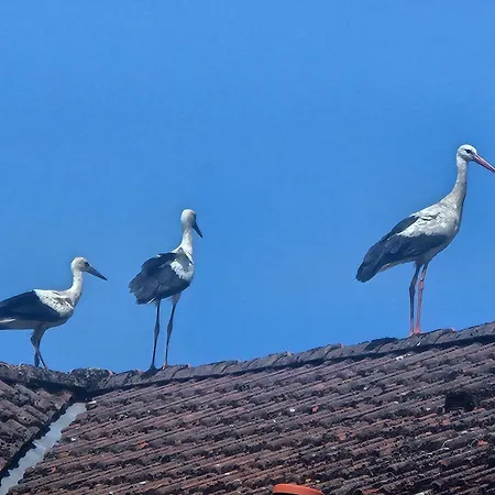 08 Heuwiese - Hof Wiesengrund *