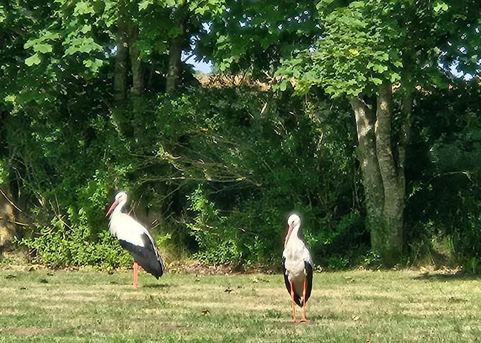 Lejlighed 08 Heuwiese - Hof Wiesengrund