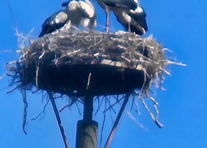 Lejlighed 08 Heuwiese - Hof Wiesengrund *