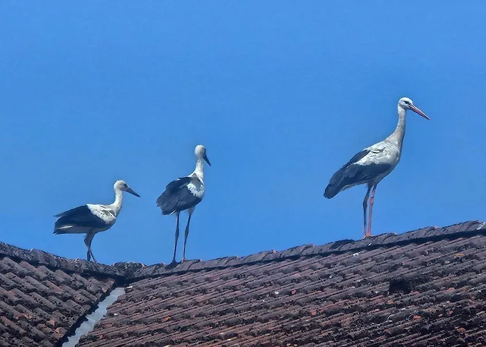 08 Heuwiese - Hof Wiesengrund *